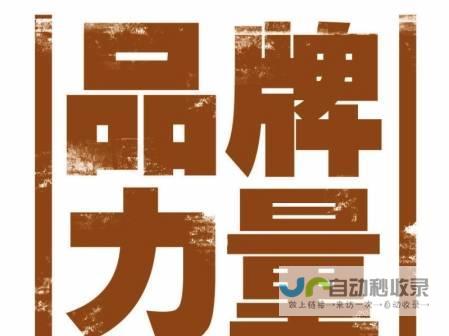 打造个人品牌网站：不同预算选择及性价比分析