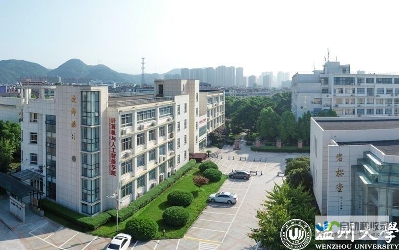 温州专业网页设计服务：满足您的个性化需求，助您在线成功